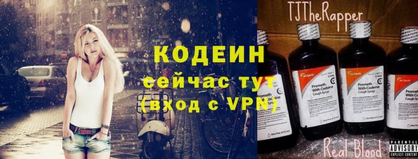 дживик Абаза