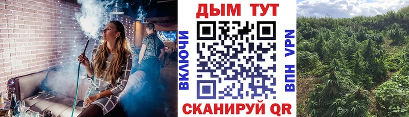 Канабис конопля Саратов